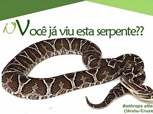 Biotério UCDB lança Disque Resgate de serpentes em Campo Grande