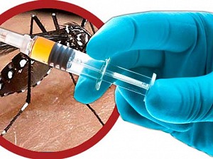 Vacina da dengue chega a Campo Grande e Centro j comercializa a dose
